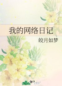 我的网络日记
