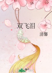 《双飞泪》