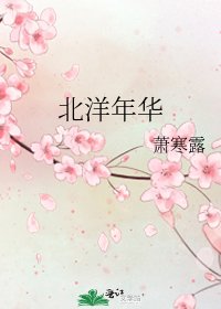 《北洋年华》