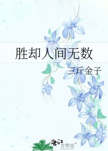 《胜却人间无数》