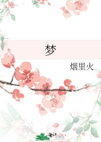 梦