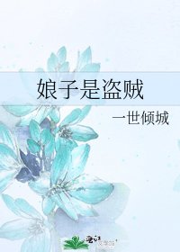 娘子是盗贼