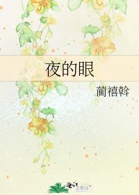 《夜的眼》