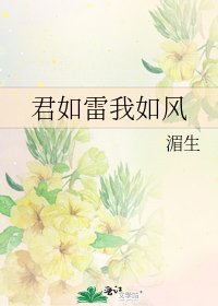 《君如雷我如风》