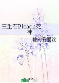 三生石Bleach死神