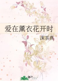 爱在薰衣花开时