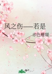 《风之伤——若是》
