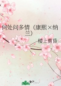 《何处问多情(康熙×纳兰)》
