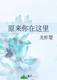 《原来你在这里》