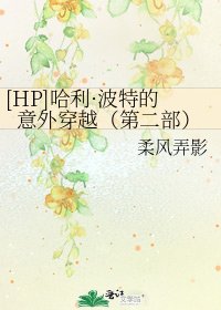 [HP]哈利·波特的意外穿越（第二部）