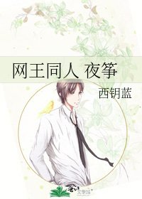 《网王同人 夜筝》