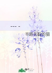 《--- -》