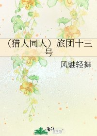 （猎人同人）旅团十三号