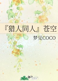 『猎人同人』苍空