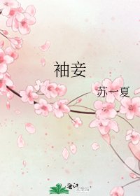 《袖妾》