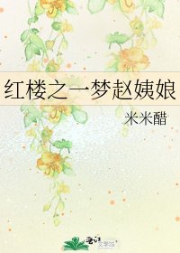 红楼之一梦赵姨娘