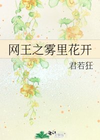 《网王之雾里花开》