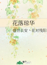 花落琼华