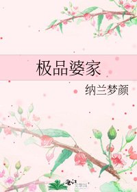 《极品婆家》