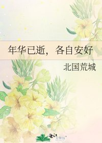 年华已逝,各自安好