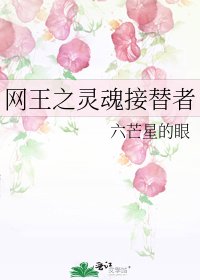 《网王之灵魂接替者》