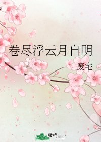 卷尽浮云月自明