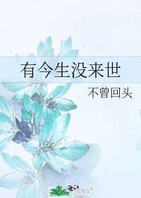 《有今生没来世》