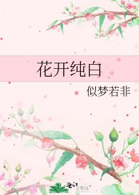 《花开纯白》