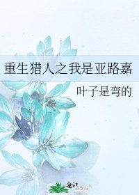 《重生猎人之我是亚路嘉》