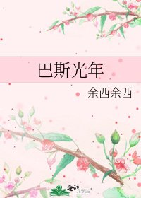 《巴斯光年》