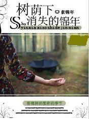 树荫下消失的锦年