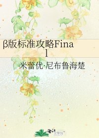 《β版标准攻略Final》