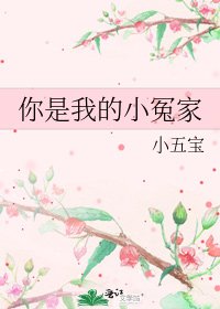 你是我的小冤家