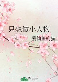 只想做小人物