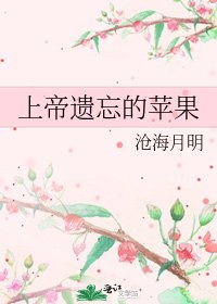 《上帝遗忘的苹果》