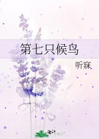 《第七只候鸟》