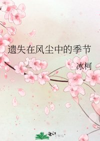 《遗失在风尘中的季节》