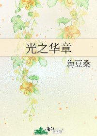 《光之华章》
