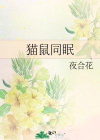 猫鼠同眠