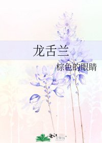 龙舌兰
