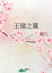 《王储之翼》