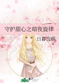 《守护甜心之暗夜旋律》