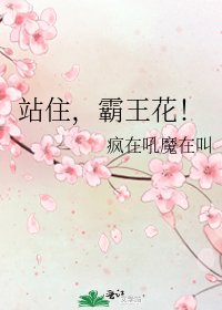 《站住,霸王花!》