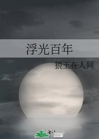 《浮光百年》