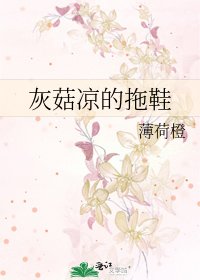 灰菇凉的拖鞋