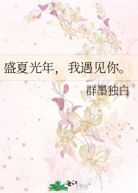 《盛夏光年,我遇见你。》
