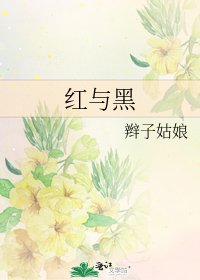 《红与黑》