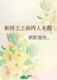 《新网王之曲终人未散》
