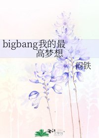 《bigbang我的最高梦想》