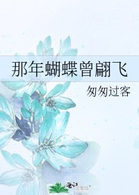 《那年蝴蝶曾翩飞》